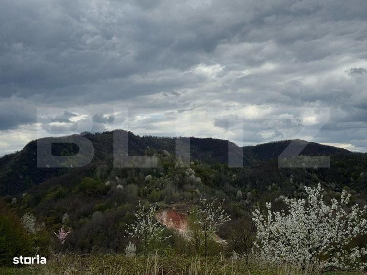 Casă cu 2 camere cu Teren 10000 Mp în Central