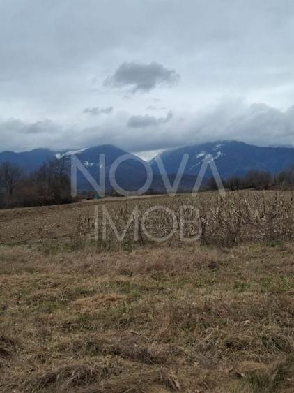 Teren agricol extravilan de 2100 mp, în Arpașu de Sus