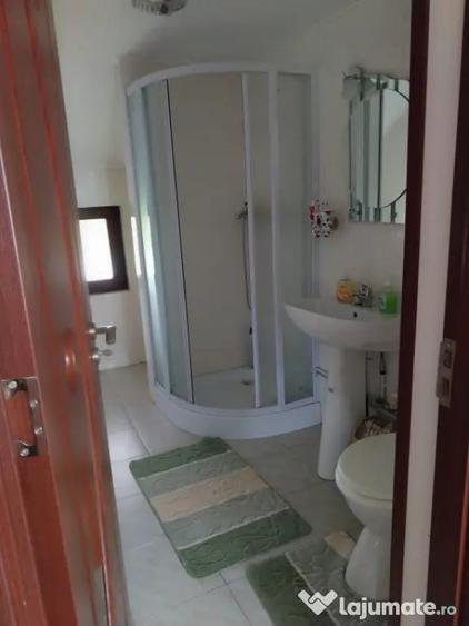 Vila 7 camere, 200 mp, zona Maneciu Pamanteni - 15