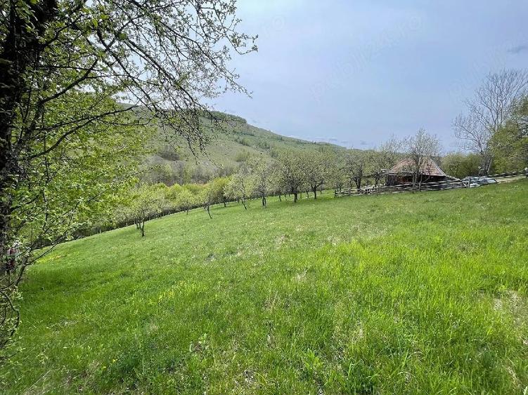 Casă cu Teren 15000 Mp în Bătrâna
