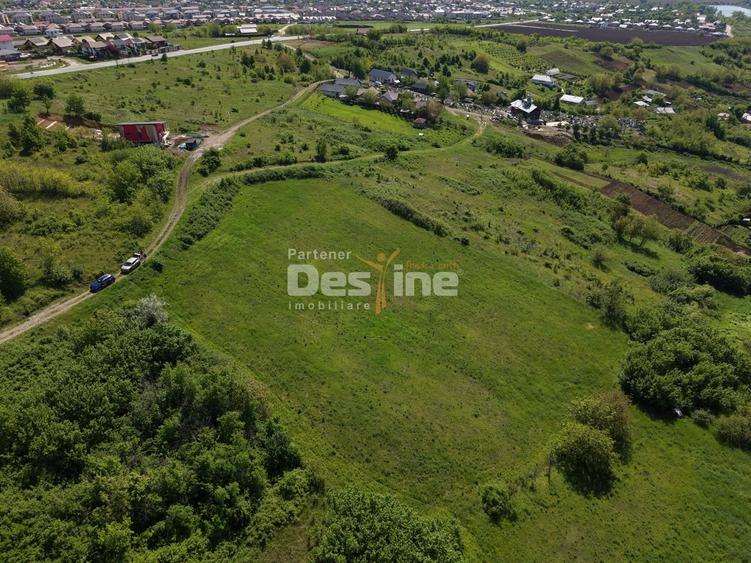 Teren Construcții intravilan de 8000 mp, în Ciurbești