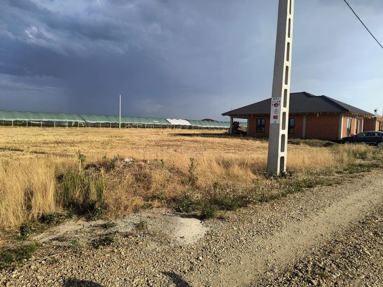 Teren Construcții intravilan de 501 mp, în Cihei