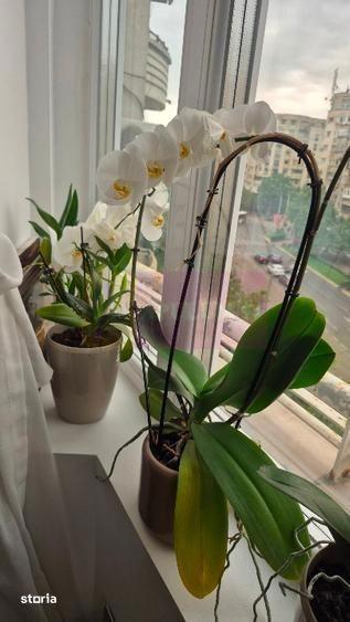 Vanzre apartament de 3 camere in zona Corneliu Coposu,metrou - 5