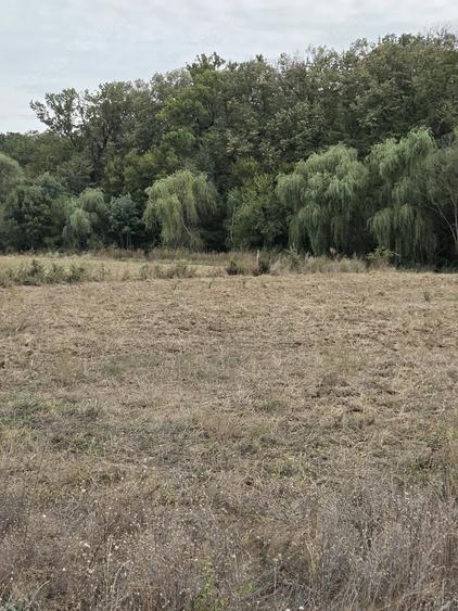 Teren de 4070 mp, în Bălteni