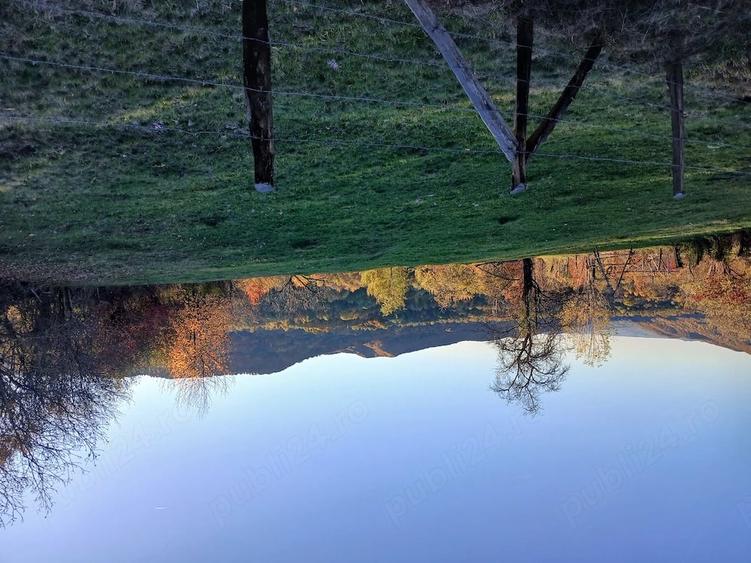 Teren de 4377 mp, în Bradu