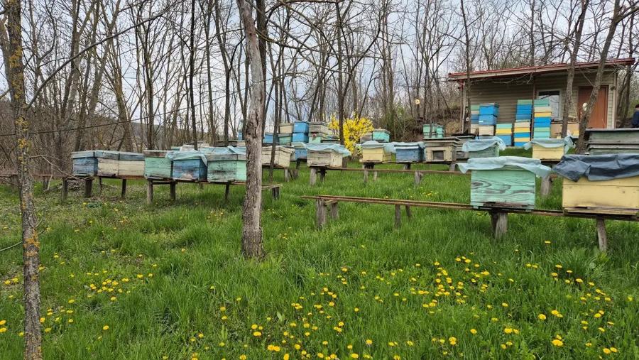 Casă cu 4 camere cu Teren 1500 Mp în Șendrești