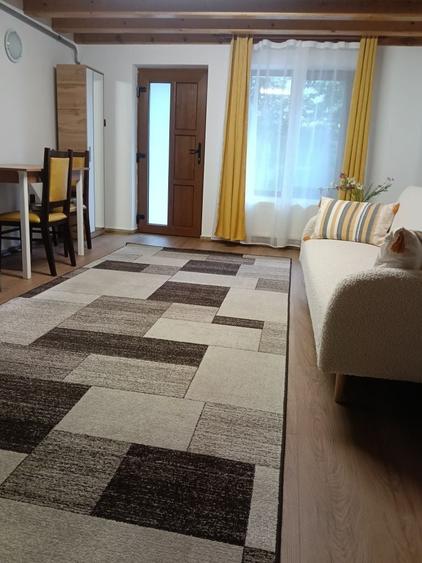 Inchiriez Garsoniera (Apartament cu o camera)-48mp-Complet utilat cu parcare proprie. - 2