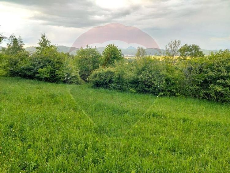 Teren Construcții intravilan de 4223 mp, în Tohănița