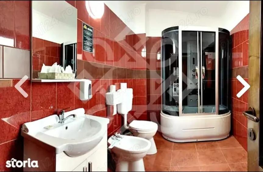 Spațiu comercial, de 2,900 mp, în Băile Felix