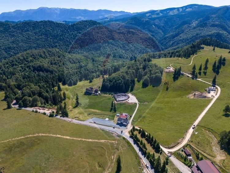 Teren agricol extravilan de 56599 mp, în Dâmbovicioara