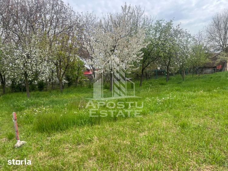 Teren de vanzare, 1001 mp, vatra veche, in Sanandrei, Timis - 1