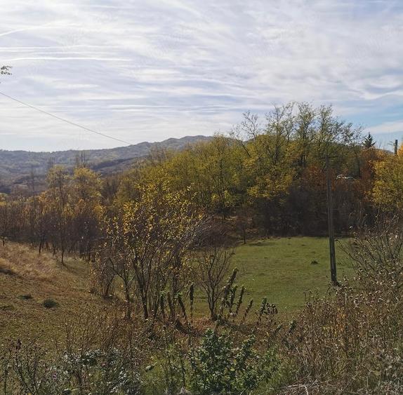Teren de 2500 mp, în Vitioara de Sus