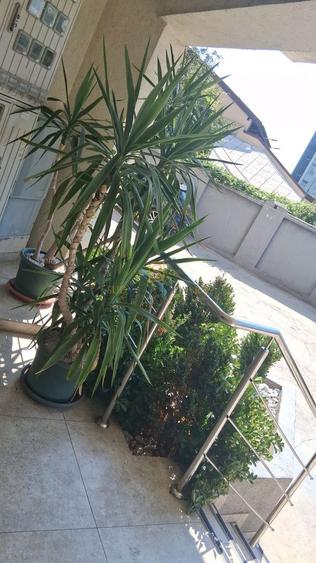 Apartament 2 camere | Metrou Apărătorii Patriei | Vedere panoramică - 14