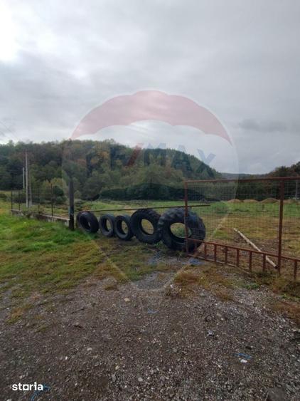 Teren de 12095 mp, în Vârfurile
