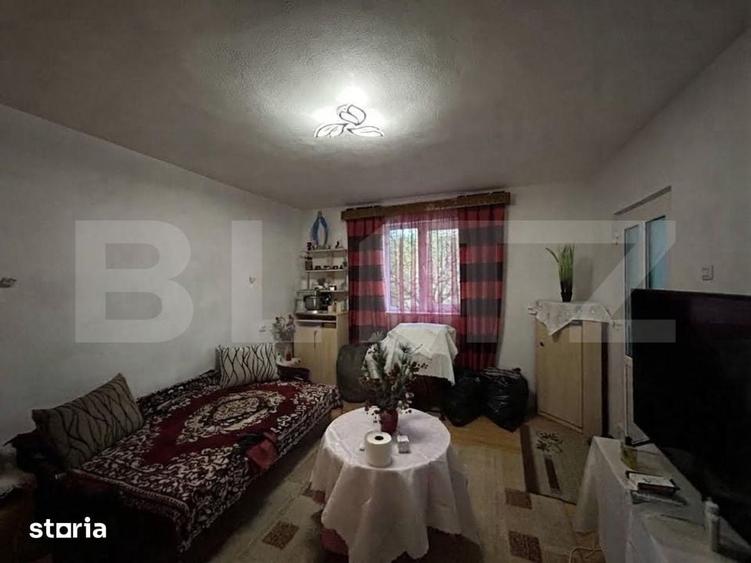 Casa de vanzare-6000mp teren - 7
