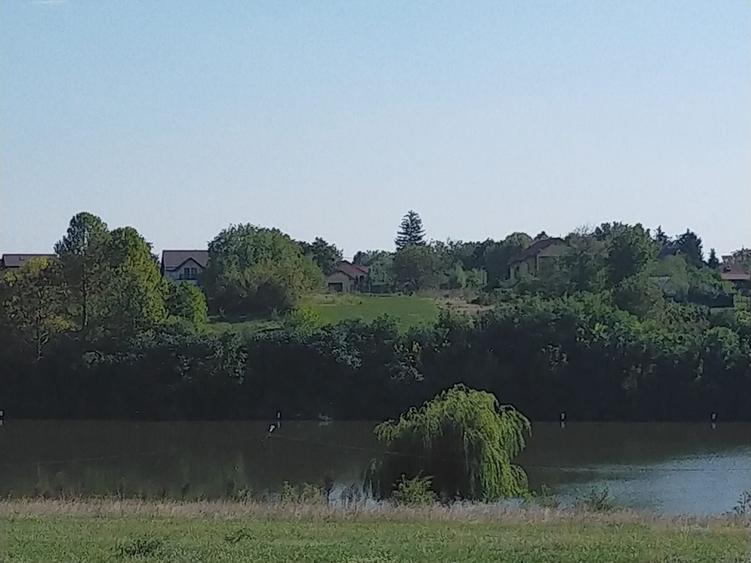 Teren Construcții intravilan de 1950 mp, în Moara Vlăsiei
