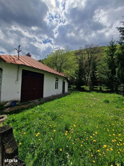 Teren de 254 mp, în Central