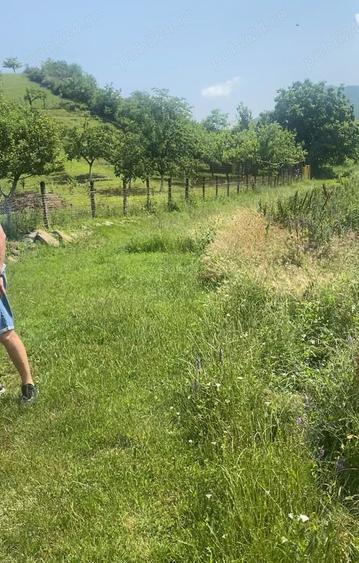 Teren de 2500 mp, în Sibiciu de Sus