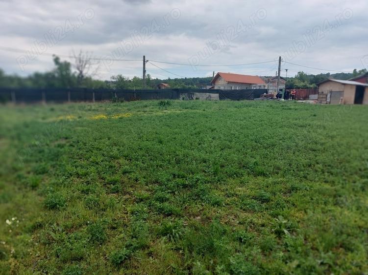 Teren de 1530 mp, în Erghevița