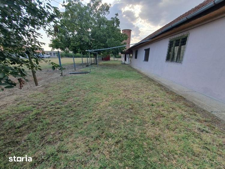 Spațiu comercial, de 382 mp, în Peciu Nou