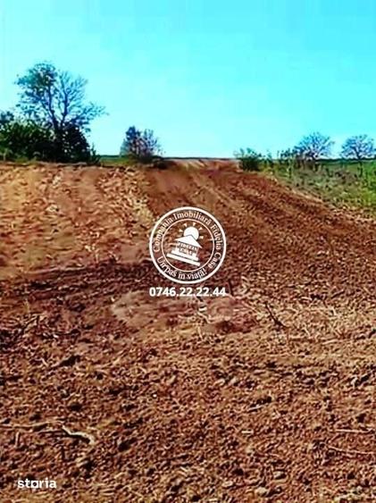 Teren pentru constructii case de vanzare Iasi, Rediu, - 1