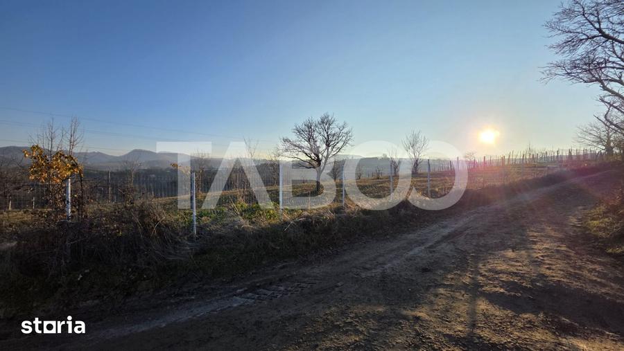 Teren de 1974 mp, în Săsciori