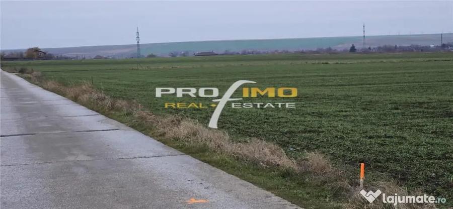 Plaja Corbu-Teren 4200mp. la numai 8 euro /mp. Soseaua asfal - 6