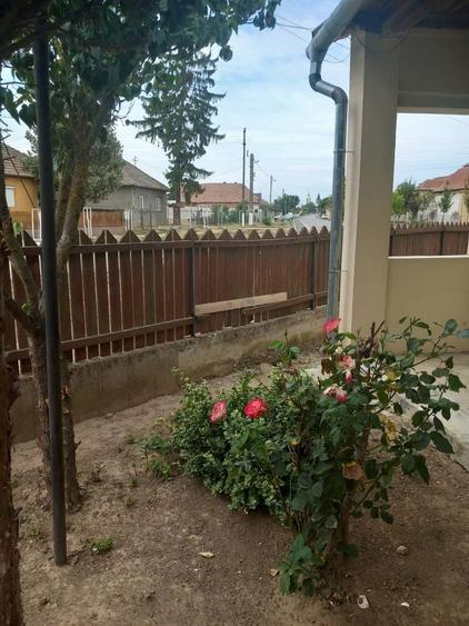 Casă cu 4 camere în Vășad