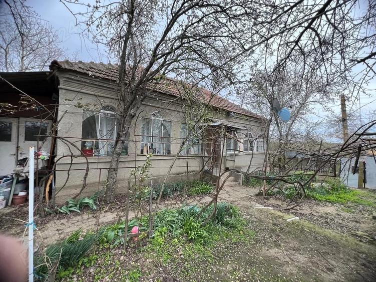 Teren de 2500 mp, în Gângiova