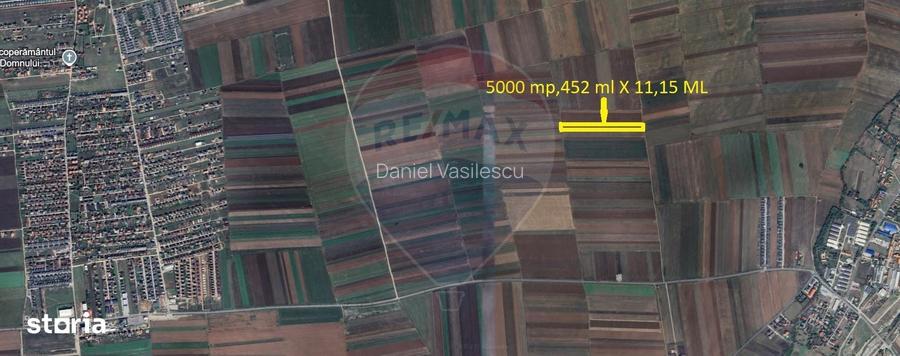Teren Extravilan 5.000 mp Tarlungeni / Strada Zizinului