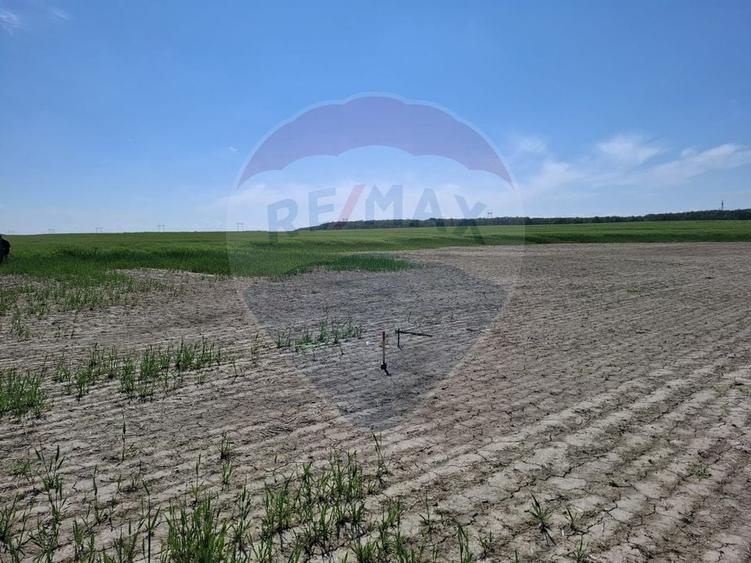 Teren Construcții intravilan de 1350 mp, în Brănești