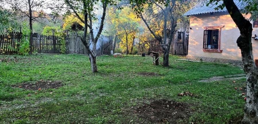 Casă cu 3 camere în Afrimești
