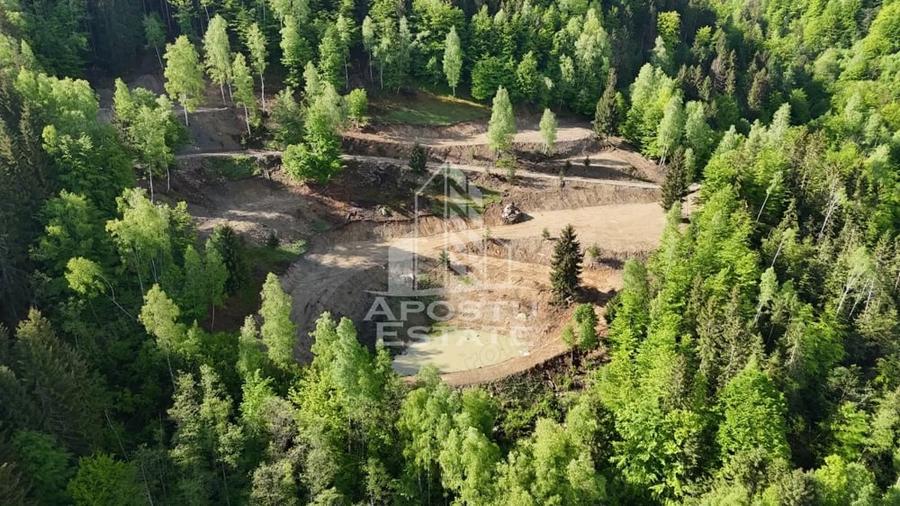 Teren de 18000 mp, în Central
