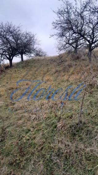 Teren Construcții intravilan de 3450 mp, în Borhanci