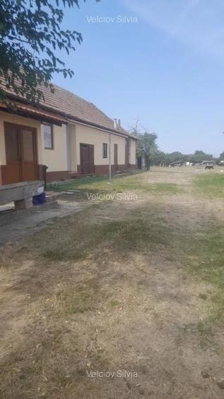 Casă cu 4 camere cu Teren 2526 Mp în Dudeștii Noi