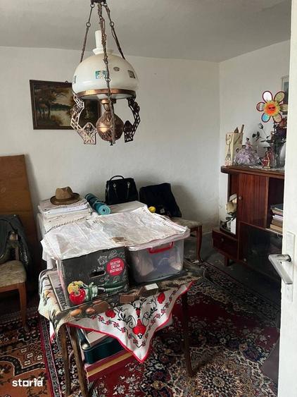 Casă cu 3 camere cu Teren 5000 Mp în Central