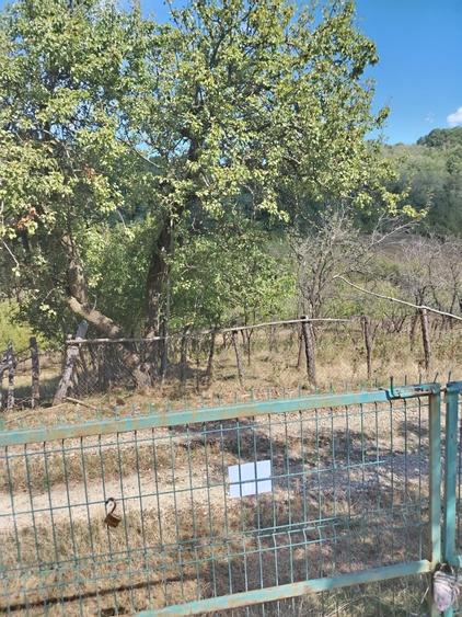 Vand casa ,com.Ladesti,sat.Olteanca, judetul Valcea - 4