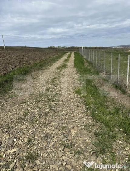 Teren de vanzare intravilan, 10 ari, zona Bosanci - Bosanci (Suceava) - 2