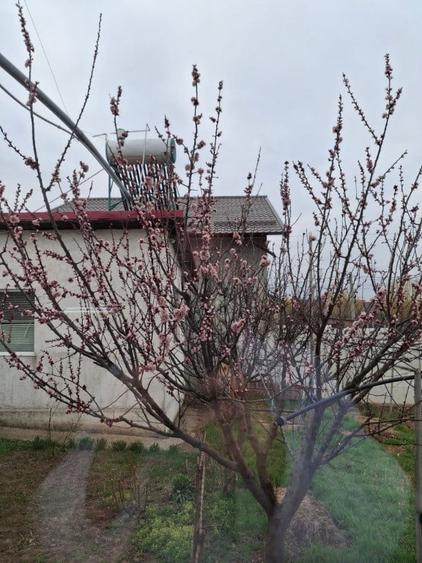 Casă cu 4 camere cu Teren 507 Mp în Șerbeștii Vechi