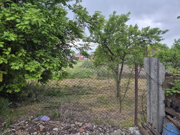 Casă cu 5 camere cu Teren 1870 Mp în Lenauheim