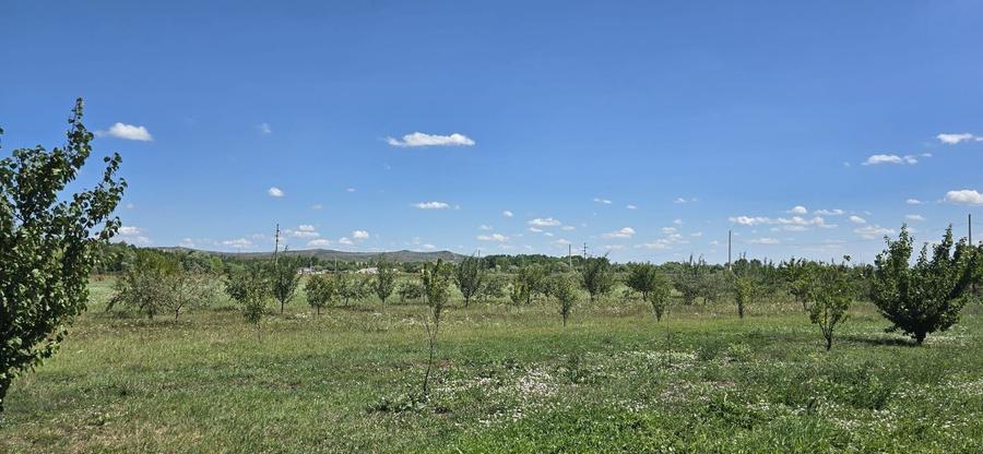 Teren Construcții intravilan de 23020 mp, în Răscruci
