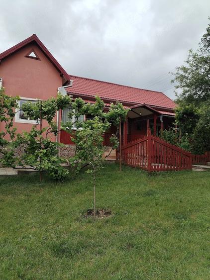 Casă cu 2 camere cu Teren 6000 Mp în Lechincioara