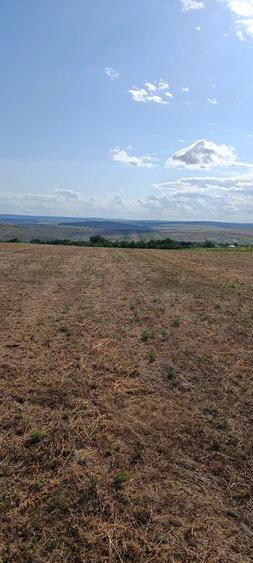 Teren de 12700 mp, în Tocileni