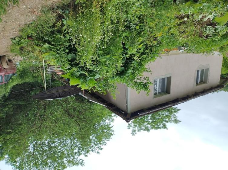 Casă cu 2 camere cu Teren 7650 Mp în Central