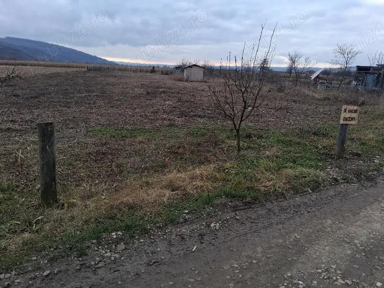 Teren de 1400 mp, în Livada (Iclod)