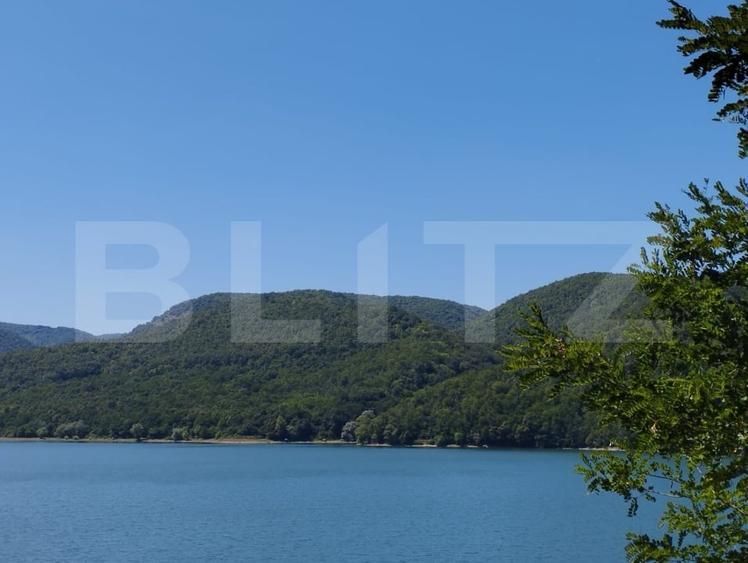 Teren extravilan împădurit, 20.720 mp – zona Lacului Cinciș - 2