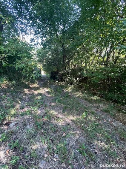 Teren de 3600 mp, în Morilor