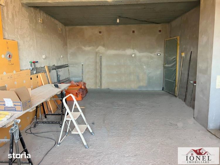 Casă cu Teren 6000 Mp în Teiu