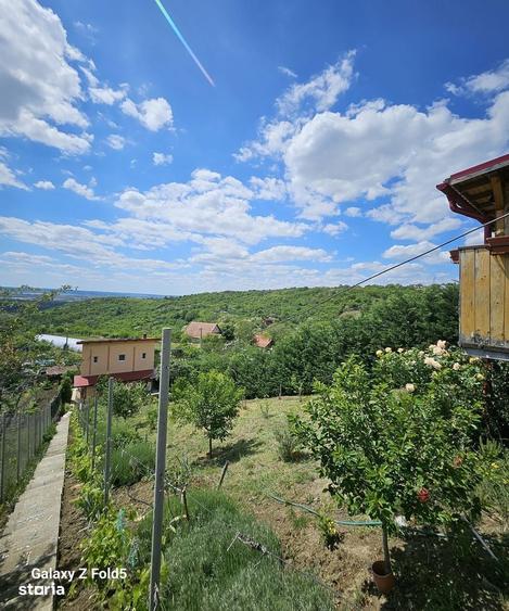 Casa noua Podgoria, 1035 mp teren - 6