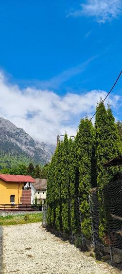 Teren si casa la rosu de vanzare in Busteni - 6
